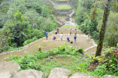 Teyuna, conjunto arqueológico localizado en la Sierra Nevada de Santa Marta (Colombia) es un claro ejemplo de la destreza con la que los tairona generon soluciones de continuidad entre lo construido y el medio natural; todo un referente en la arquitectura precolombina en América. Teyuna , el asentamiento tairona más grande y que mejor se conoce, fue una gran aglomeración que vertebraba todo el sistema de asentamientos de la sierra. Buena parte de este conjunto aún continúa escondido bajo la espesa vegetación después de casi 500 años de olvido. En el llamado “Eje Ceremonial” (en la foto) se han documentado las terrazas más grandes localizadas hasta ahora