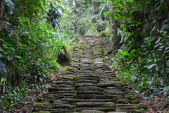 Gran escalera de acceso al “Eje Ceremonial” en Teyuna.