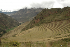 Pisac: Grandes sistemas de terrazas incas.